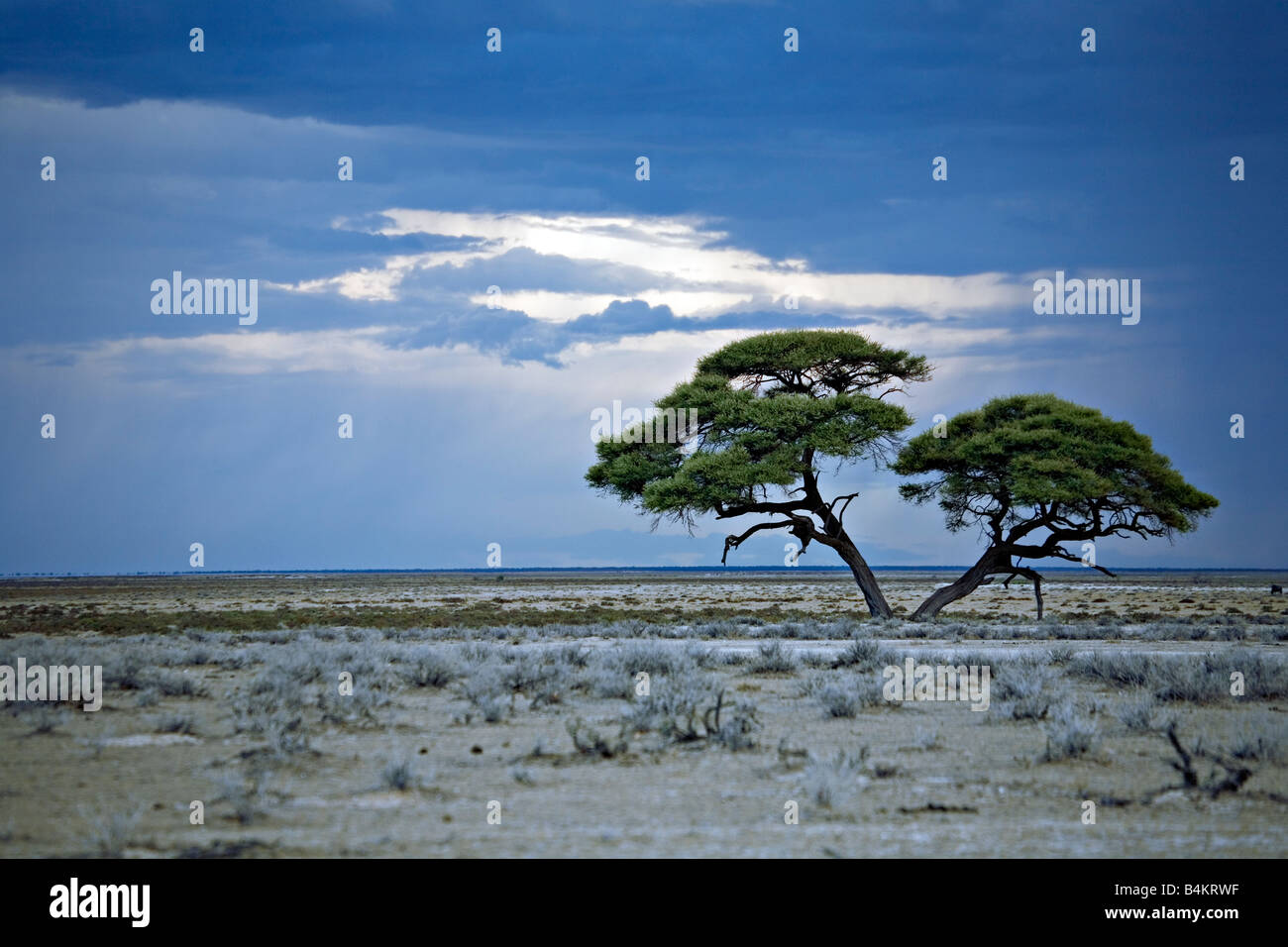 A scenic view of a distant thunderstorm on the Etosha National Park Namibia Stock Photo