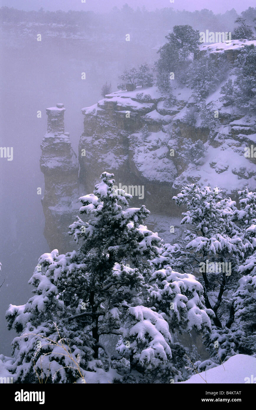 Snow storm in the Grand Canyon, Arizona Stock Photo - Alamy