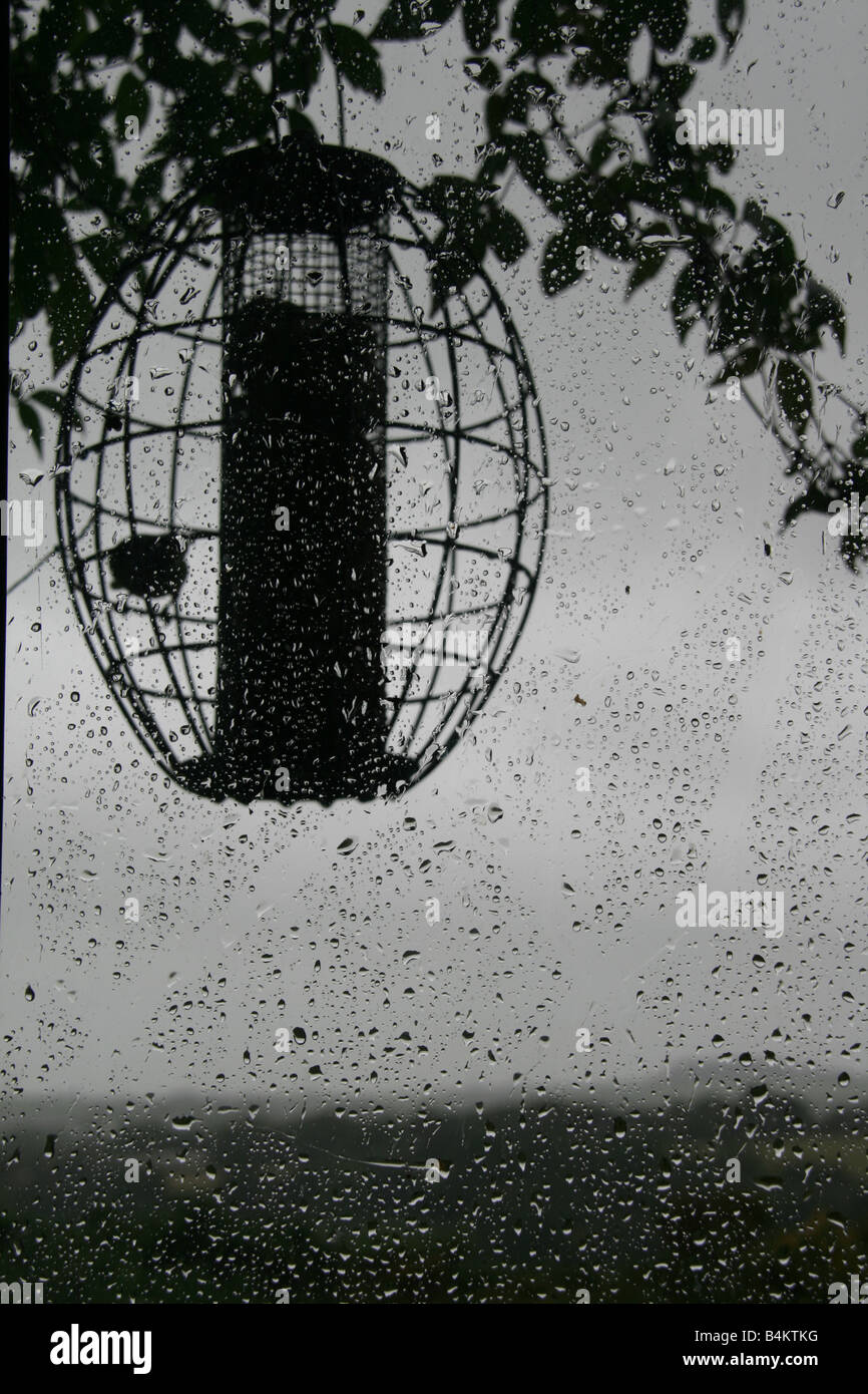 bird feeder outside house window in heavy rain Stock Photo Alamy