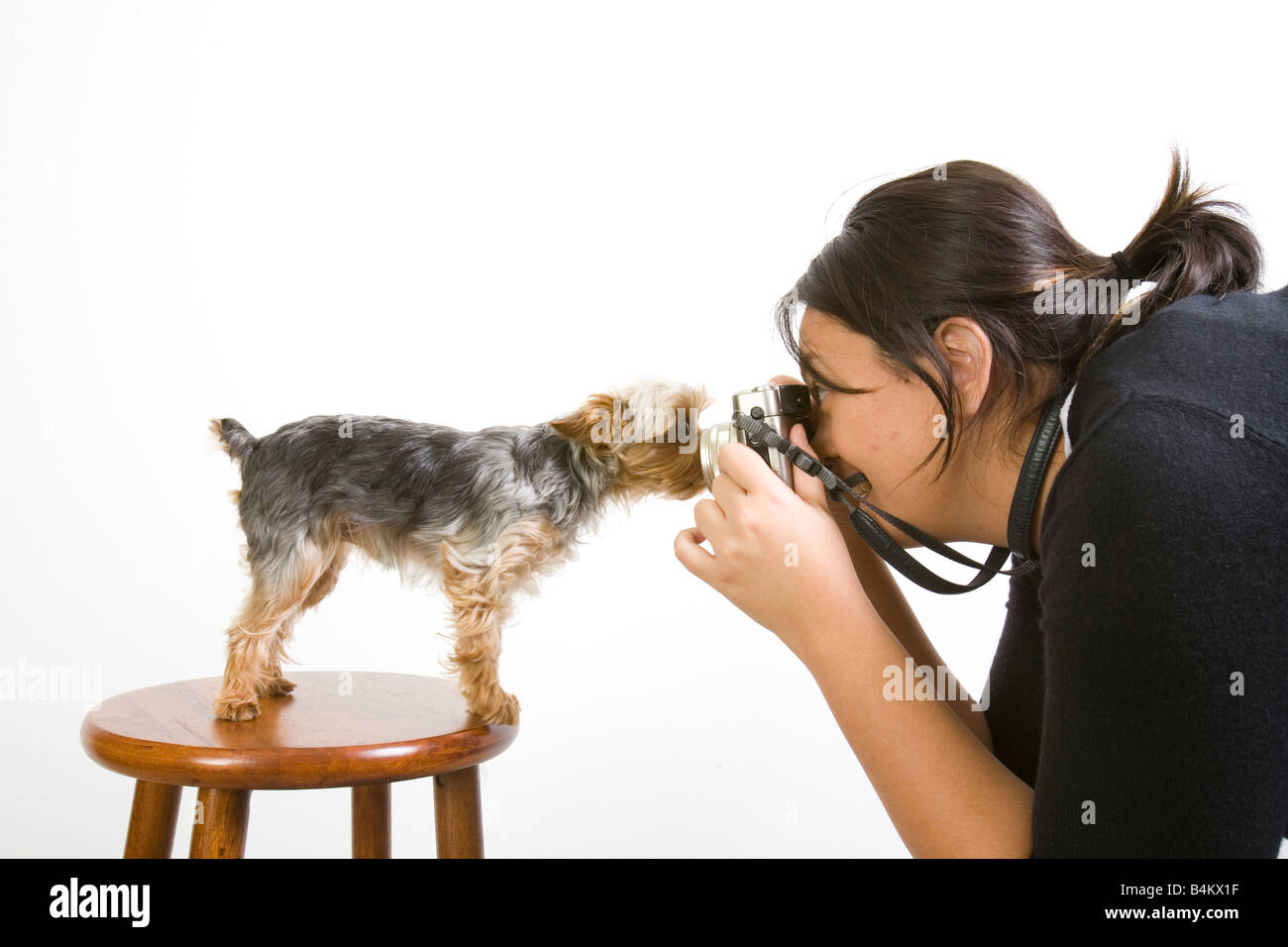 woman shooting her dog close up Stock Photo Alamy