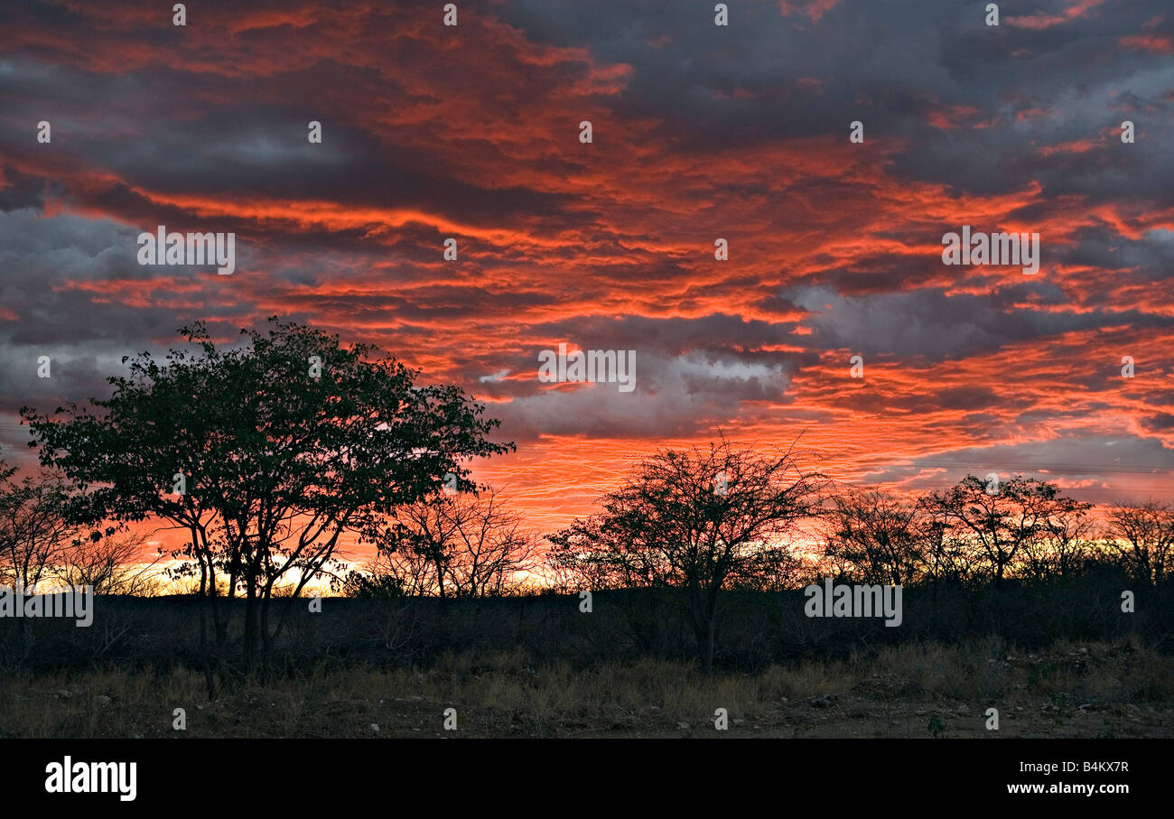 A scenic view of a distant rain in the sunset pan in Oshikoto Region Namibia Stock Photo