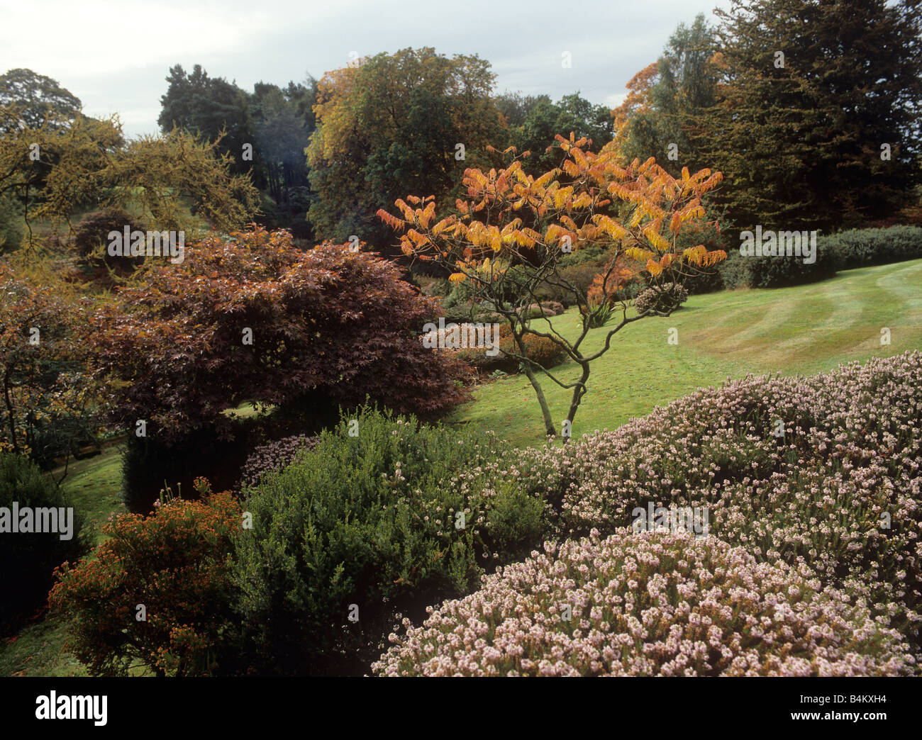 UK England Cheshire Ashton Hayes Garden autumn Stock Photo Alamy