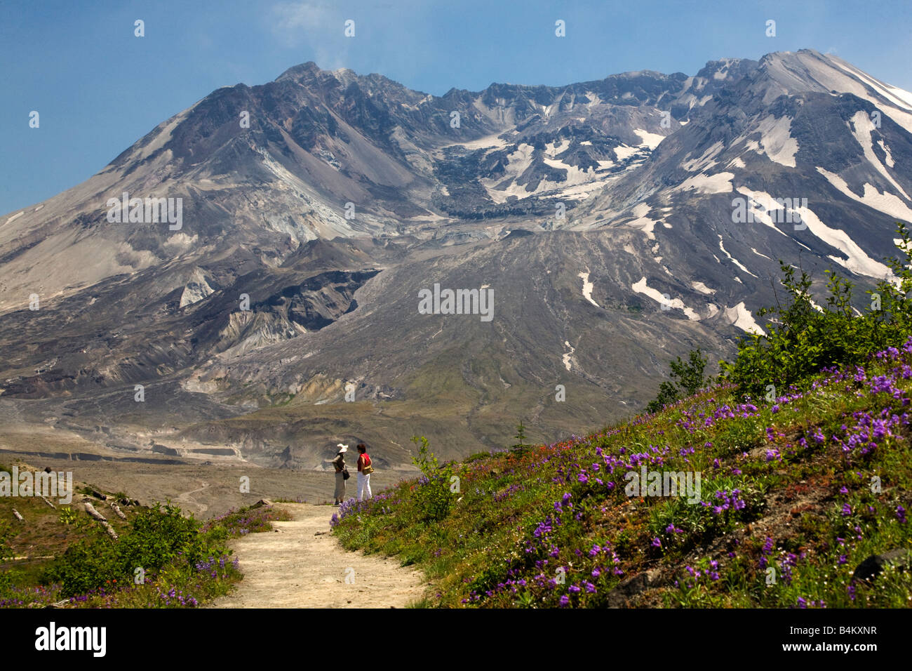 Hiking Mount Saint Helens Volcano National Park Washington Looking at