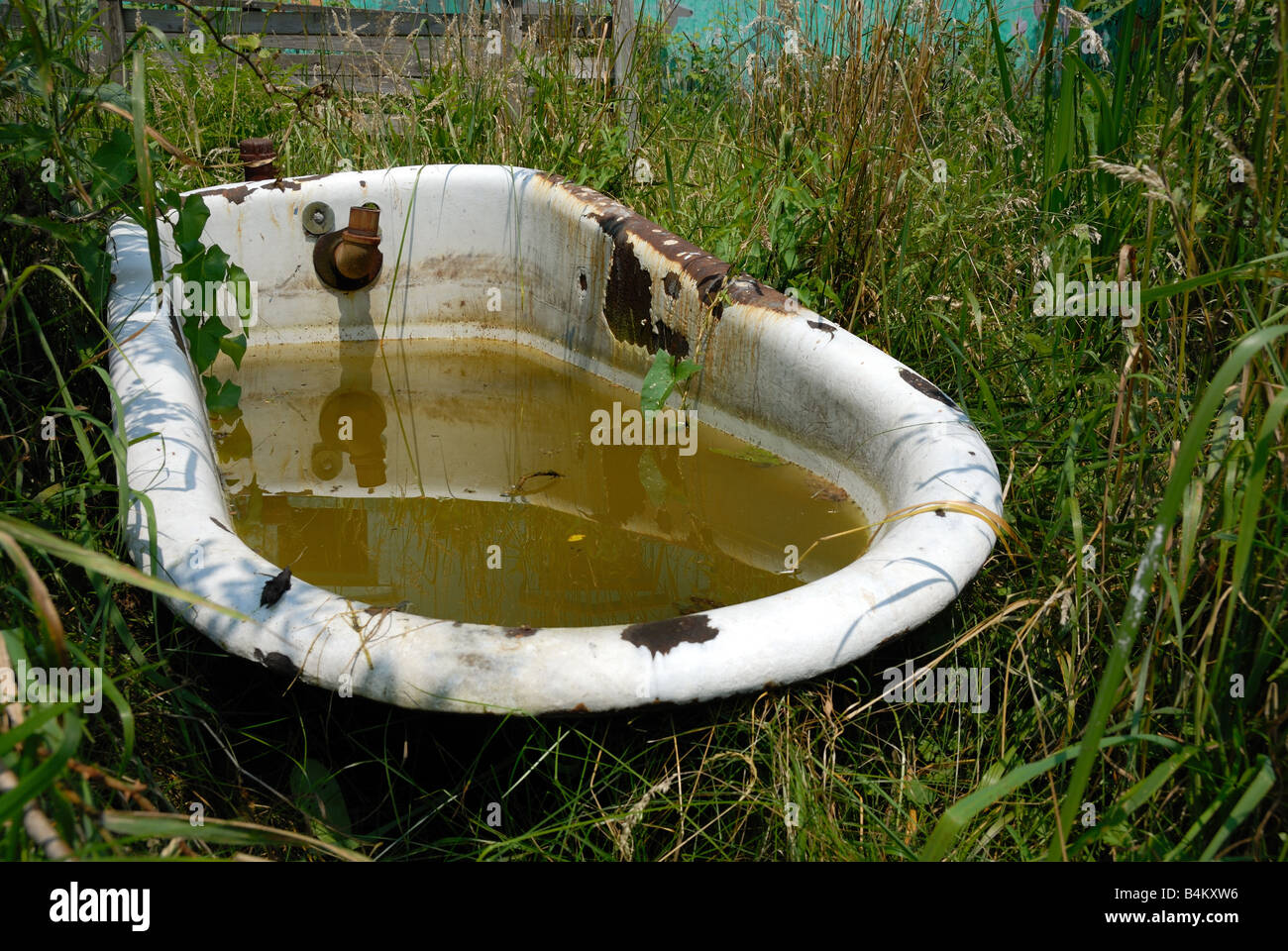 A corroded old bathtub filled with dirty water sits in a ...