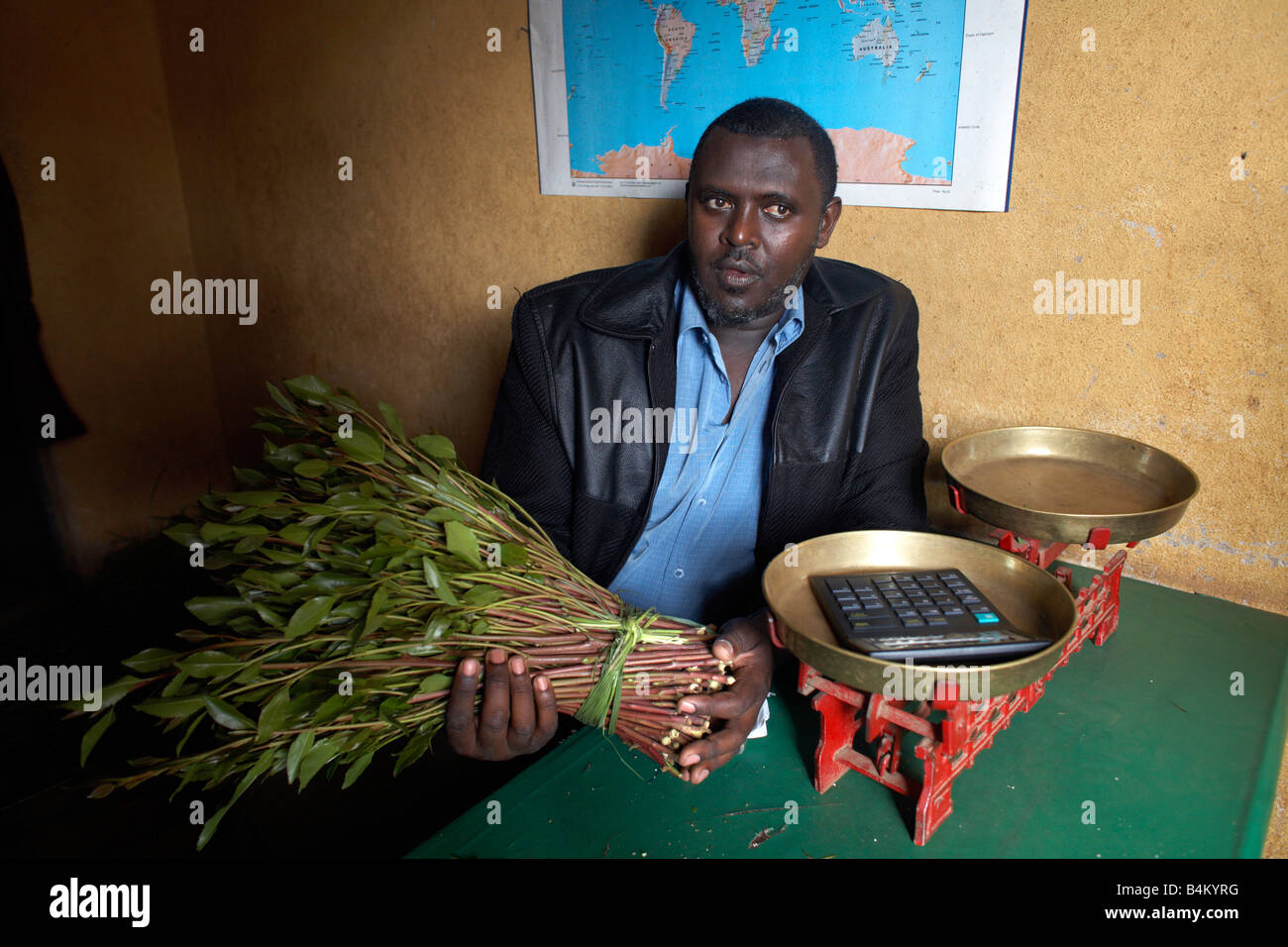 Khat plant hires stock photography and images Alamy