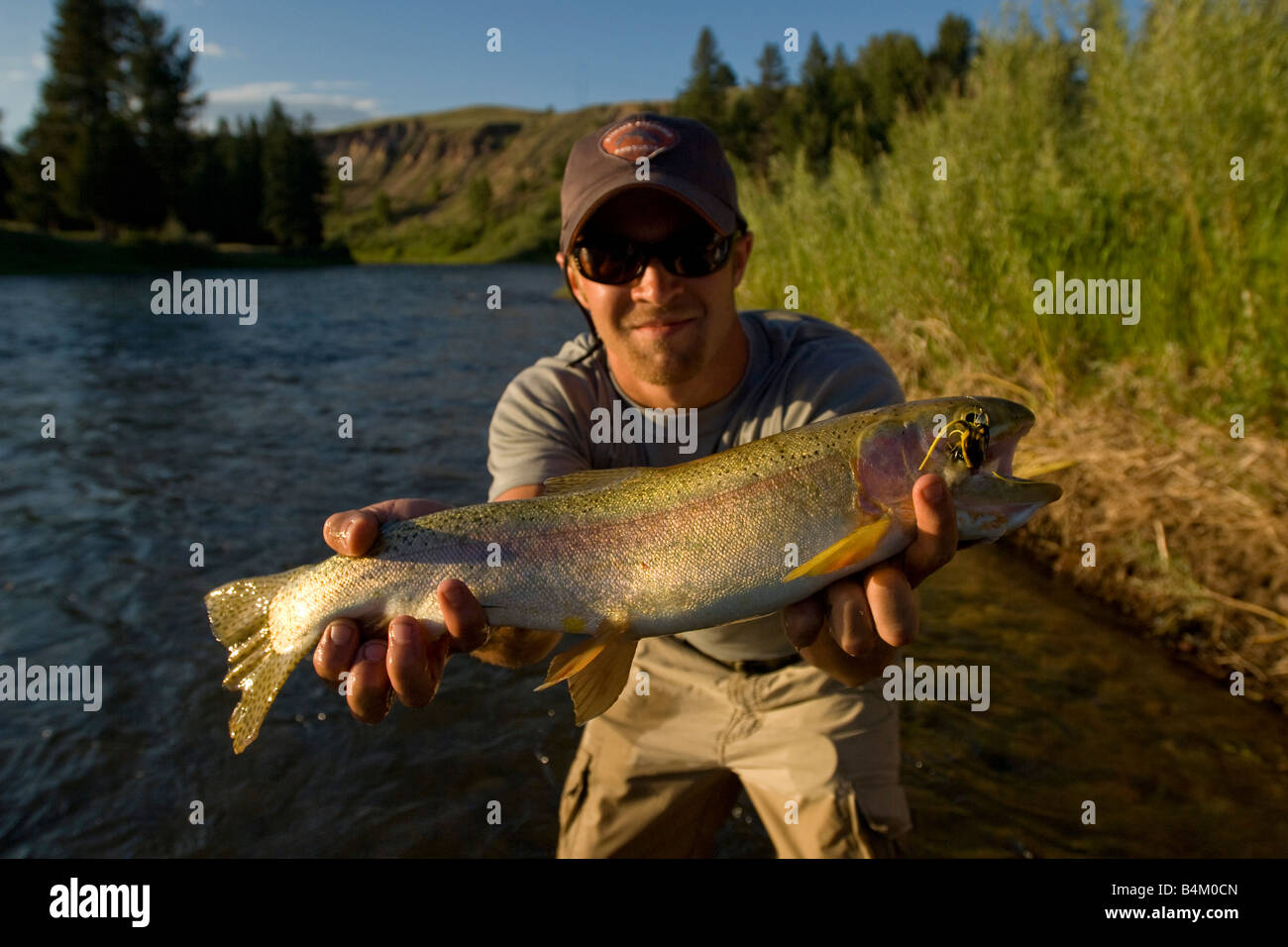 Angler fly fisherman with large rainbow trout in Montana Stock