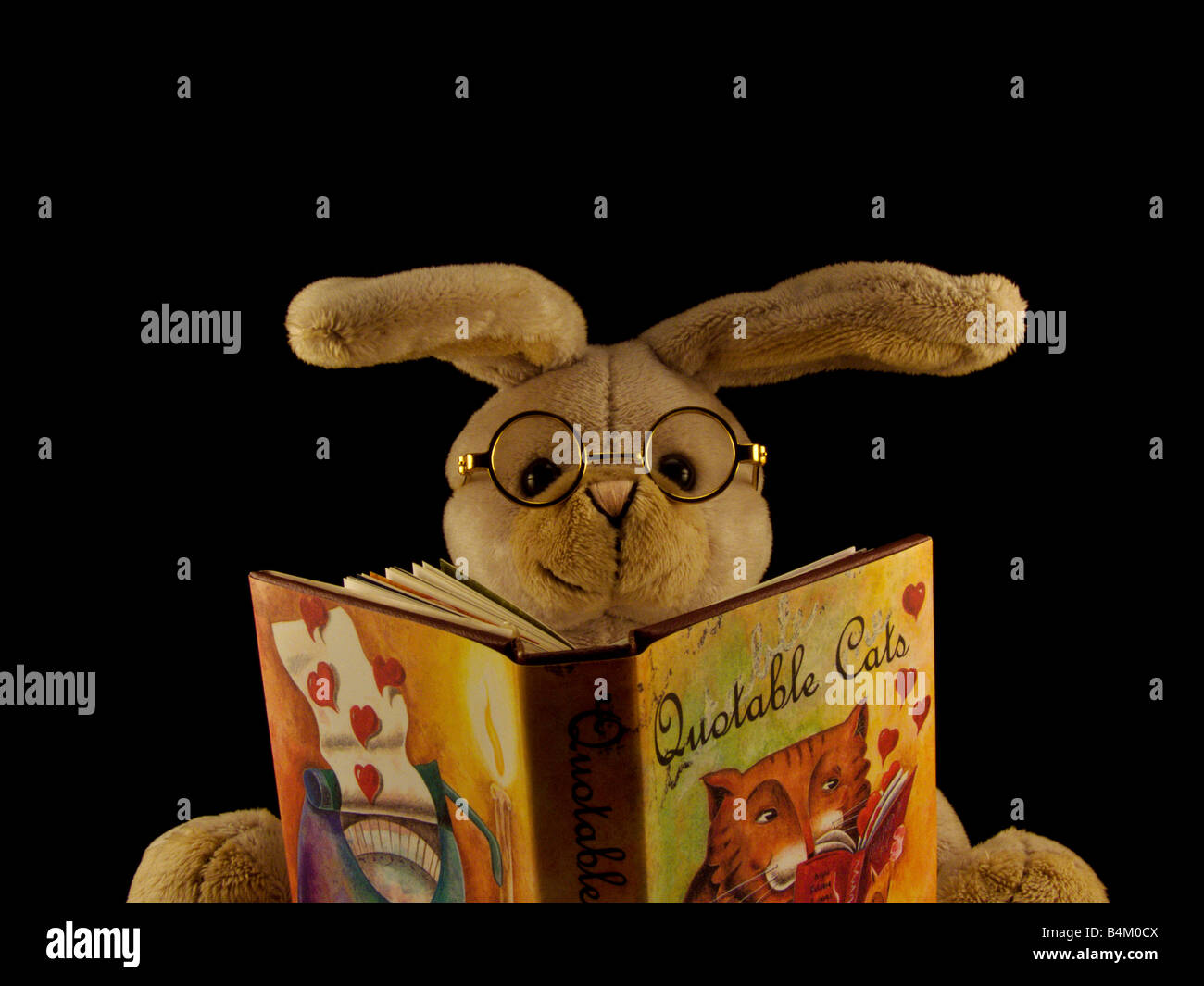 Toy Rabbit Wearing Glasses Reading a Book Stock Photo - Alamy