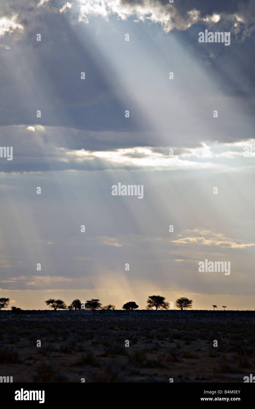 A scenic view of a distant rain in the Etosha National Park Namibia Stock Photo