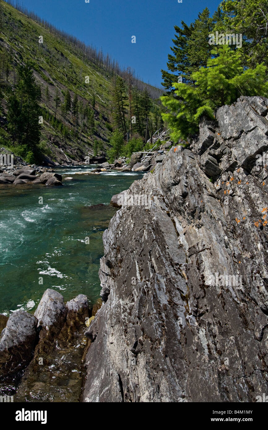 The North Fork of the Blackfoot River in the Scapegoat Wilderness Area near Missoula Montana