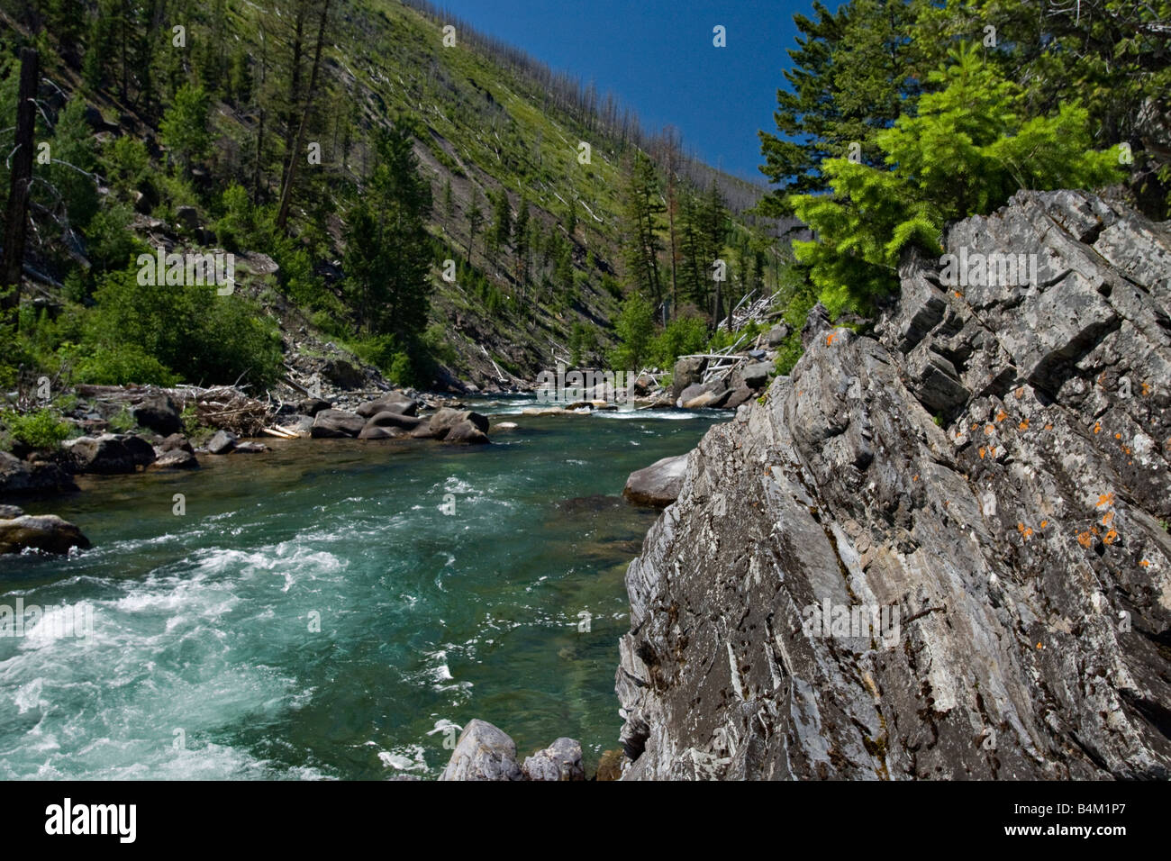 The North Fork of the Blackfoot River in the Scapegoat Wilderness Area near Missoula Montana