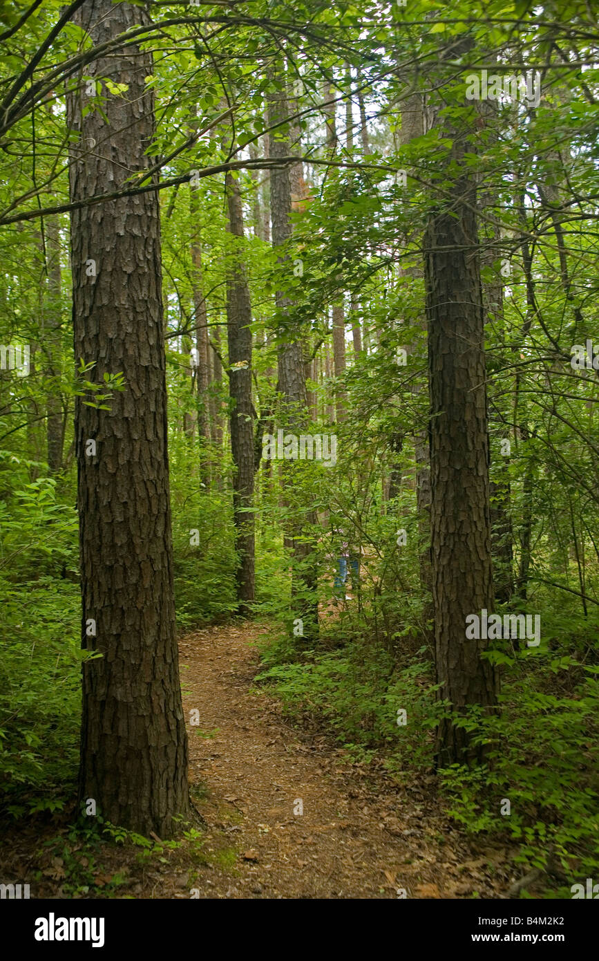 Shaw nature reserve missouri hires stock photography and images Alamy