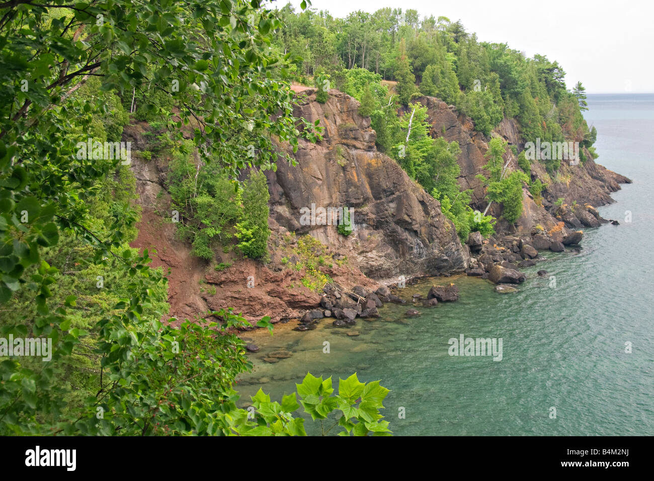 Are Dogs Allowed In Presque Isle Park