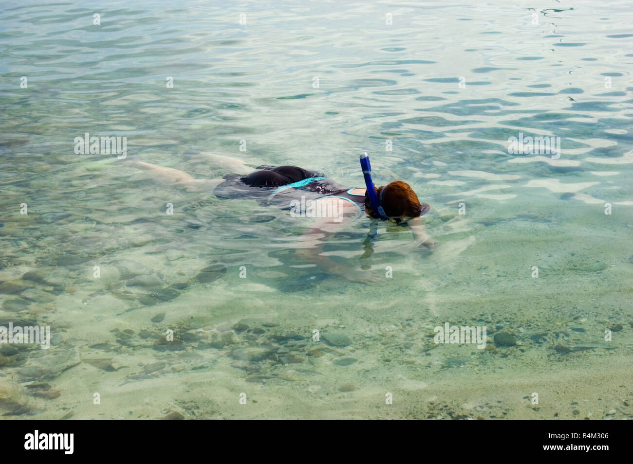 Snorkeler St. John USVI Stock Photo Alamy