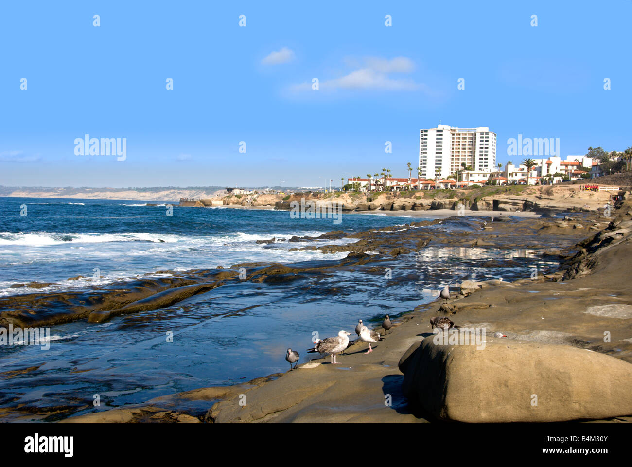 Sea Rocks California Brown algae usa rocks hi-res stock photography and images - Alamy