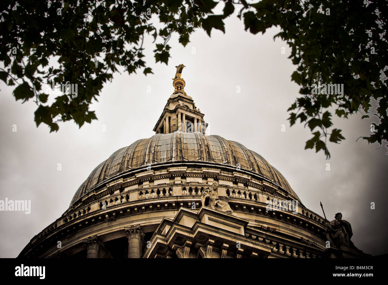 The dome of St Paul's Cathedral London, seen against a grey sky, frames by a tree. UK Stock Photo
