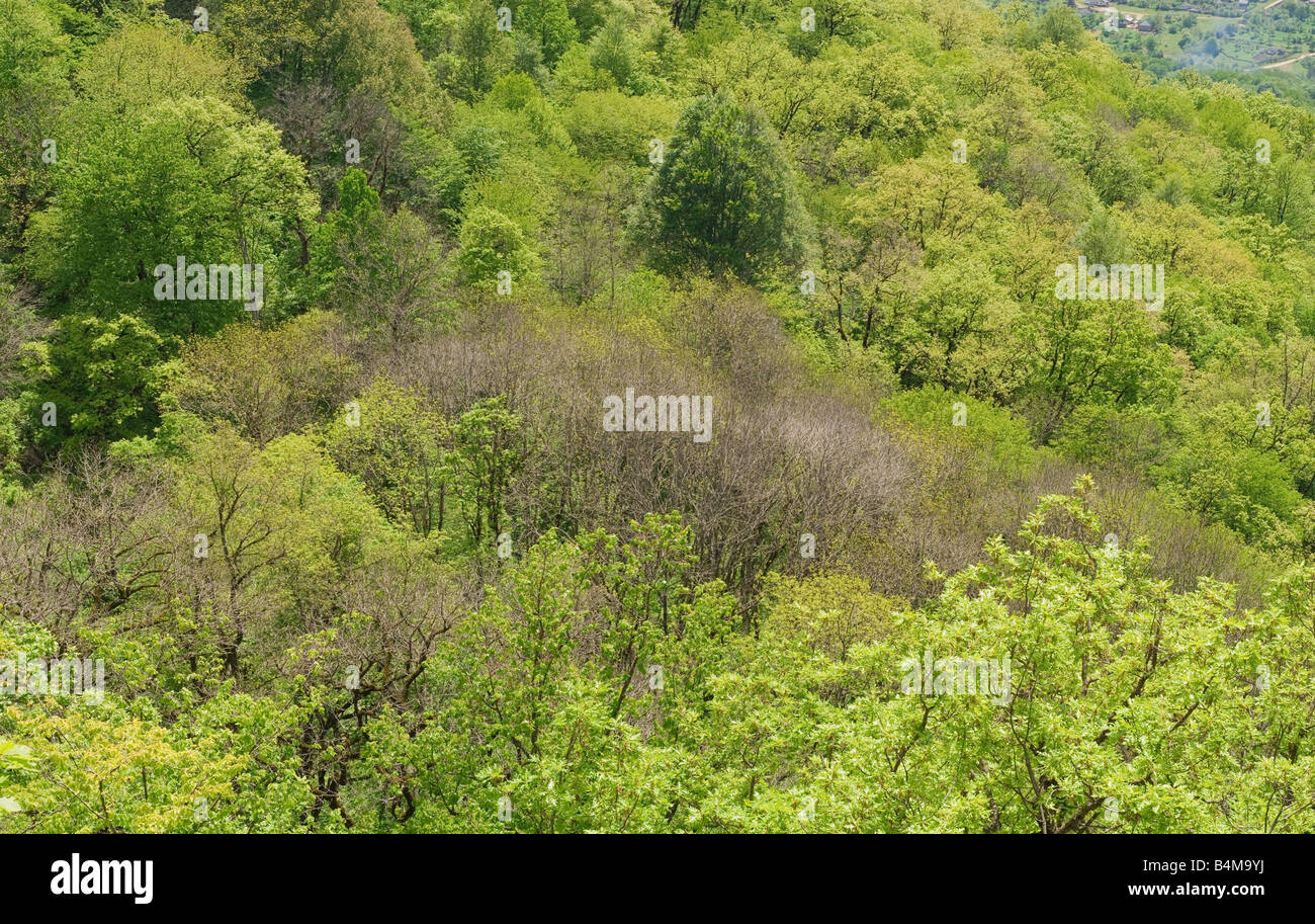 Green hi res hi-res stock photography and images - Alamy