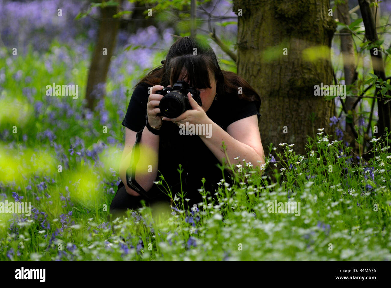 A woman taking a photgraph in the woods Stock Photo - Alamy