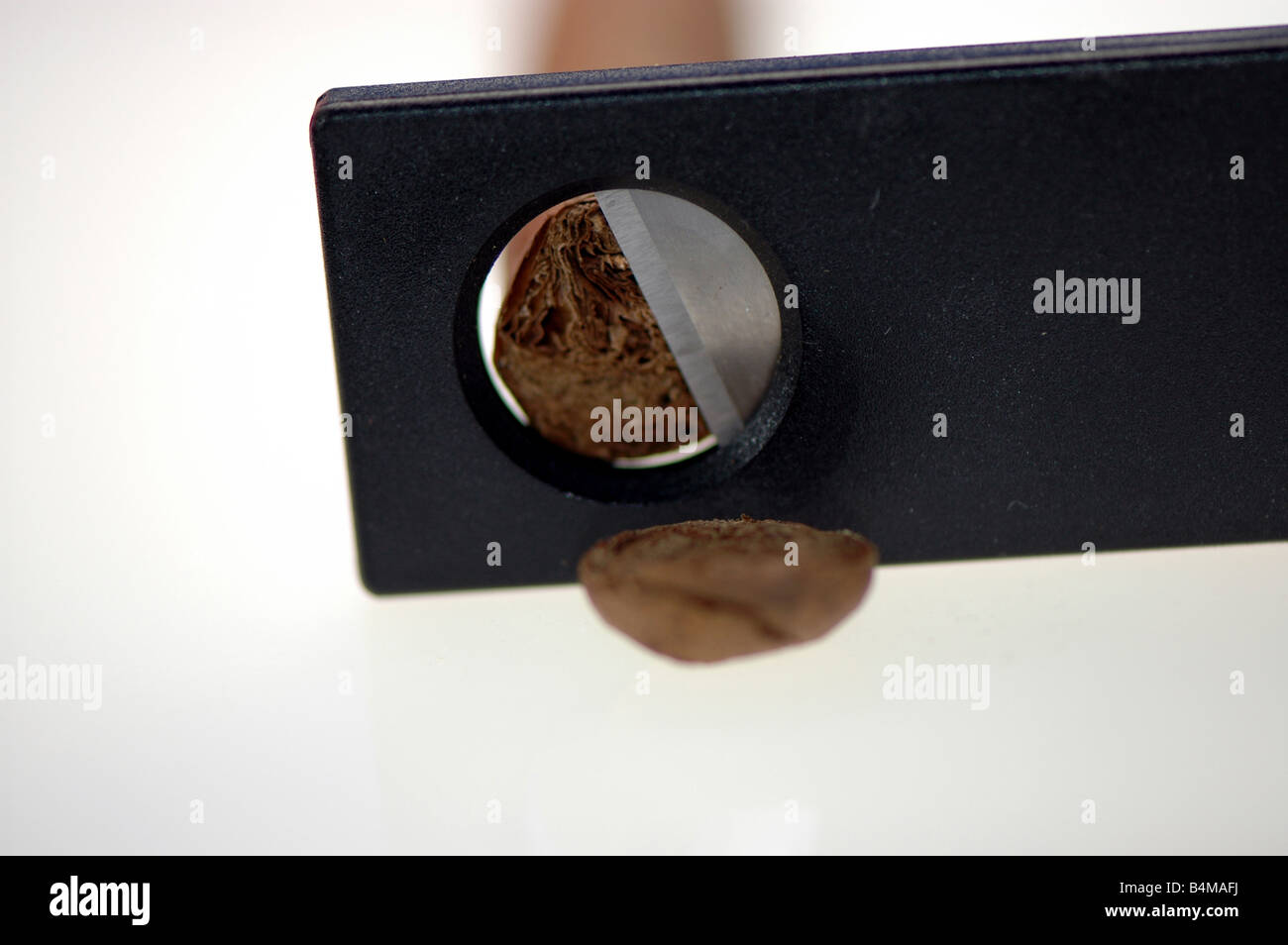 A close up of a cigar with its end cut off Stock Photo