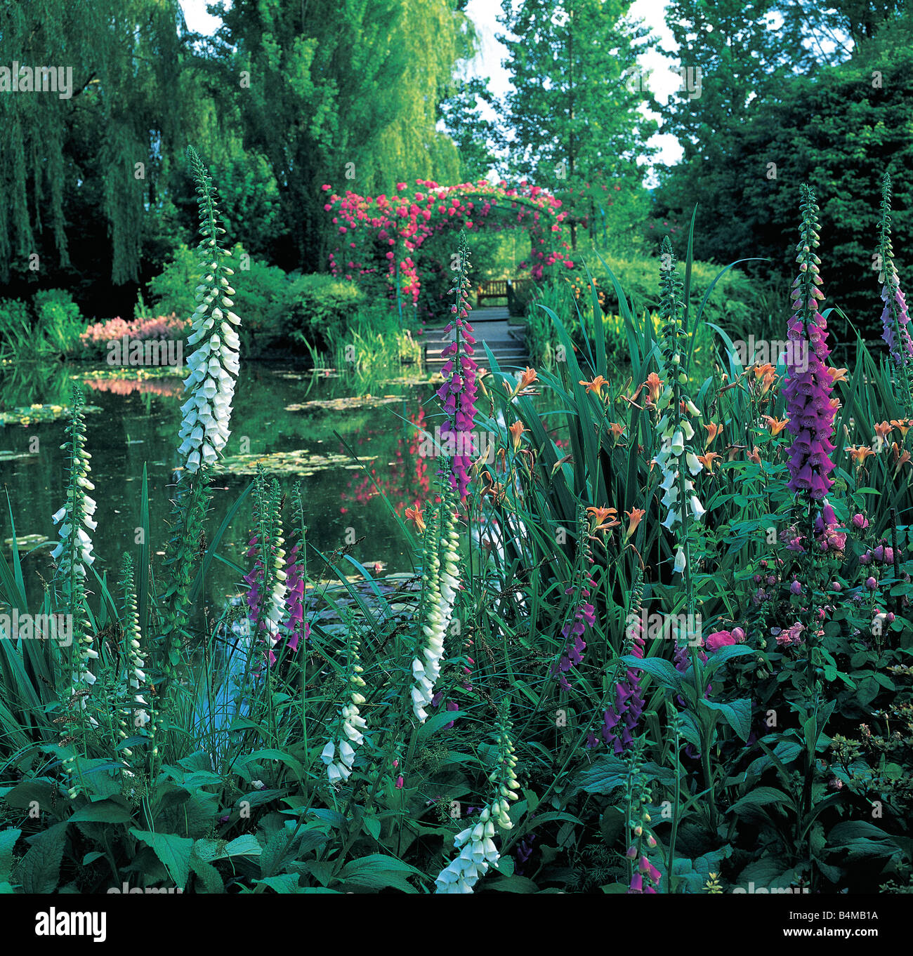 Monet's Garden at Giverny Stock Photo