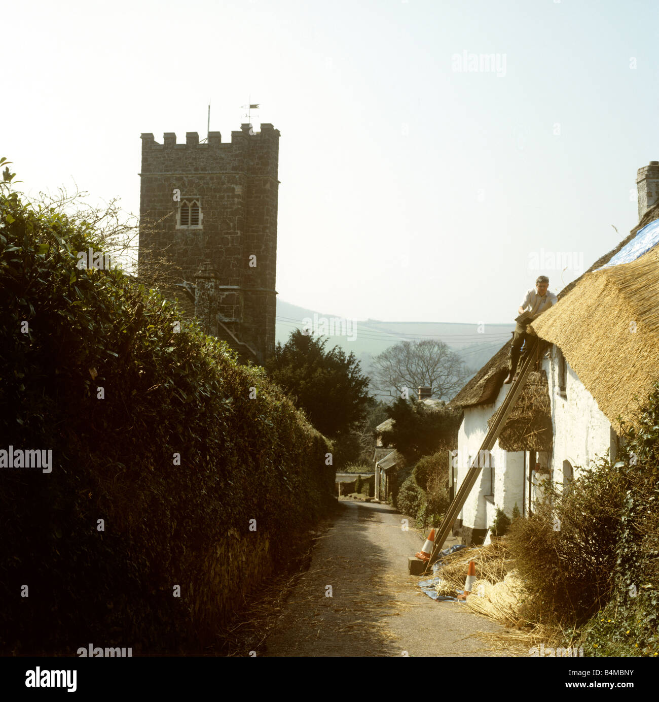 UK England Devon Bickleigh village traditional thatcher at work thatching cottage roof Stock Photo