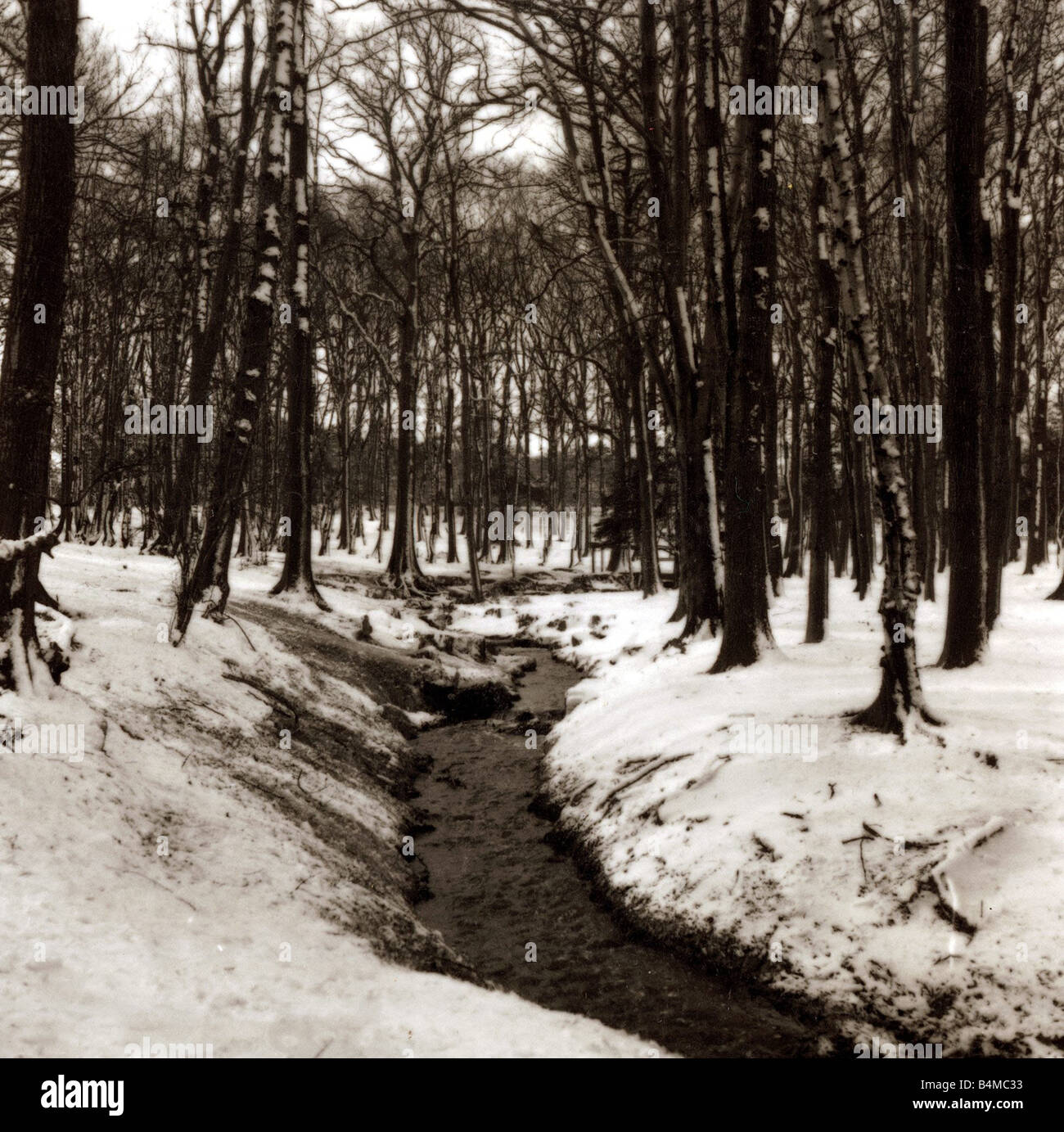 Grovelands Park Southgate Weather Winter Scenes Snow Trees ducks Stock