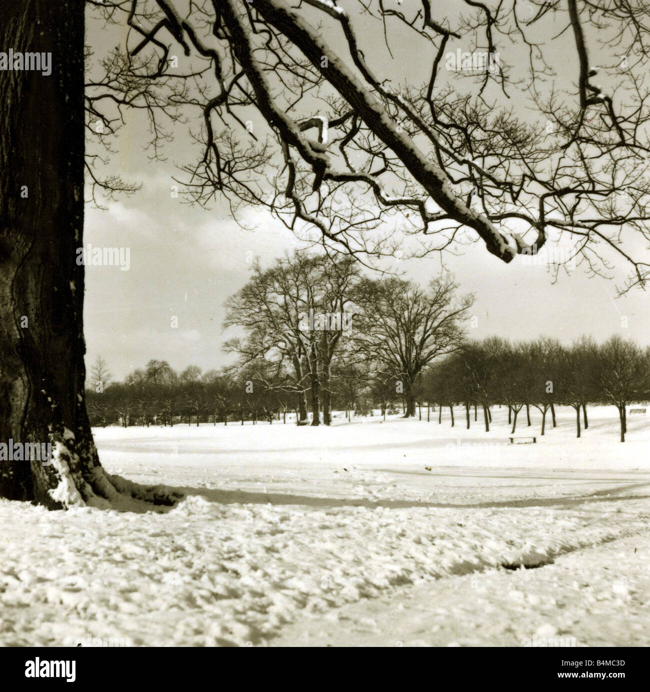 Grovelands Park Southgate Weather Winter Scenes Snow Trees ducks Stock