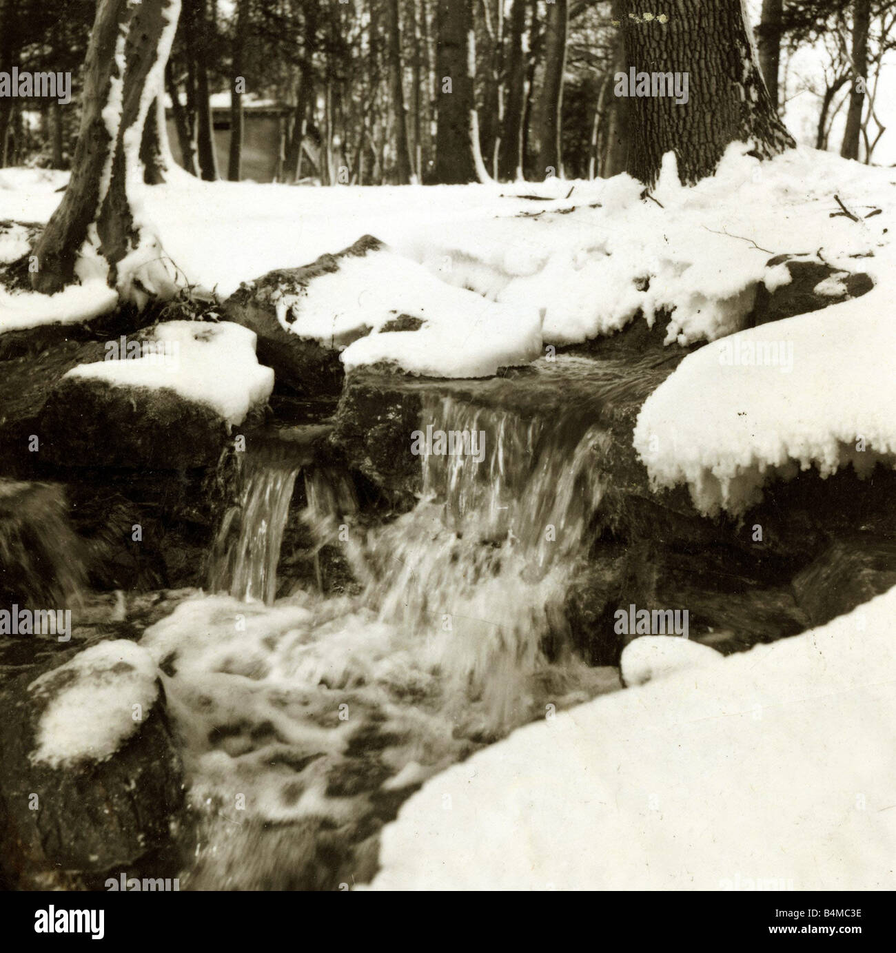 Grovelands Park Southgate Weather Winter Scenes Snow Trees ducks Stock