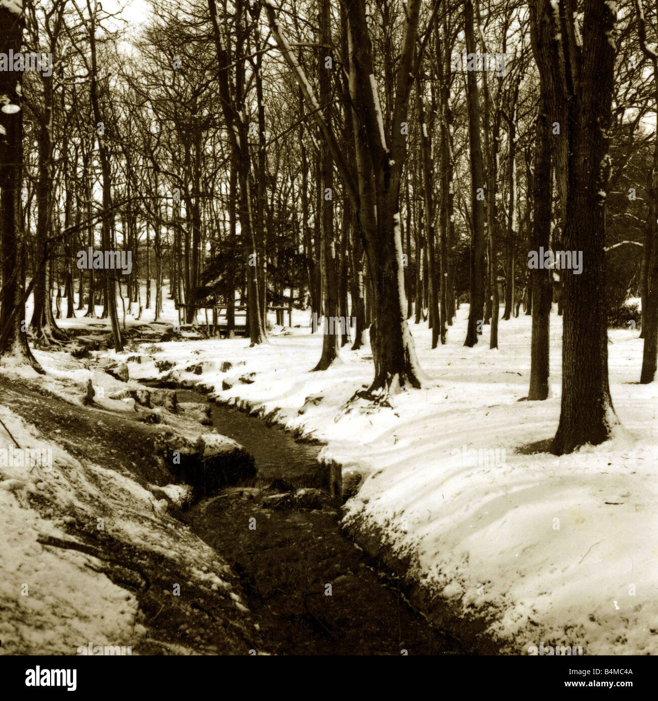 Grovelands Park Southgate Weather Winter Scenes Snow Trees Stock Photo