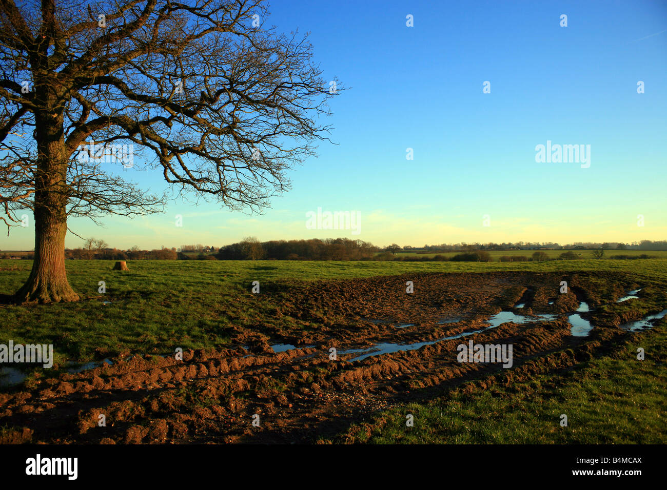 view of winter landscape with muddy tracks in field and tree in