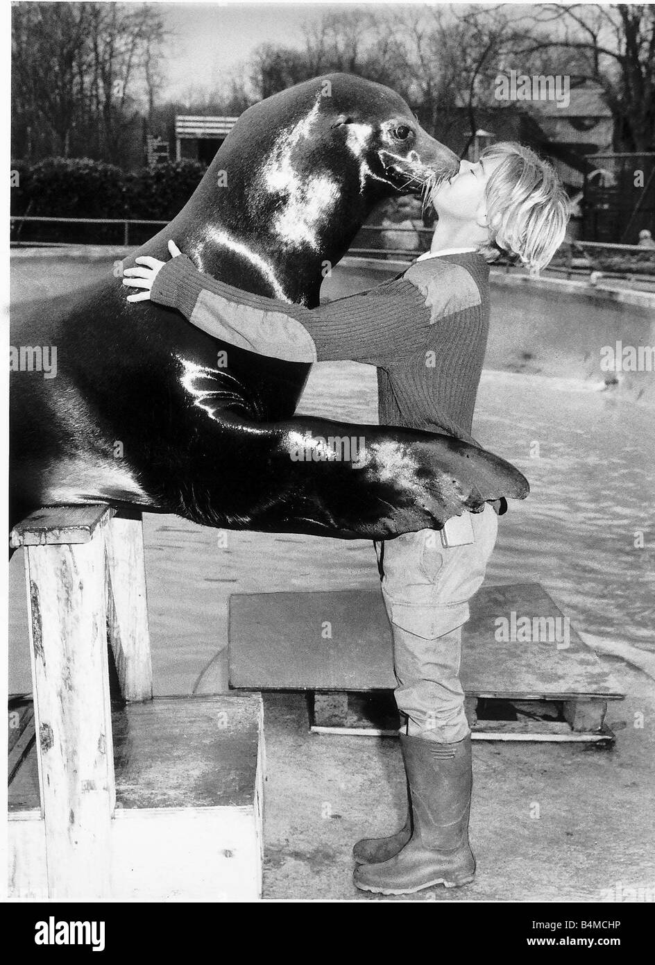 Sealion Jingles kissing Windsor Safari Park ranger Sian Stangeways Stock Photo
