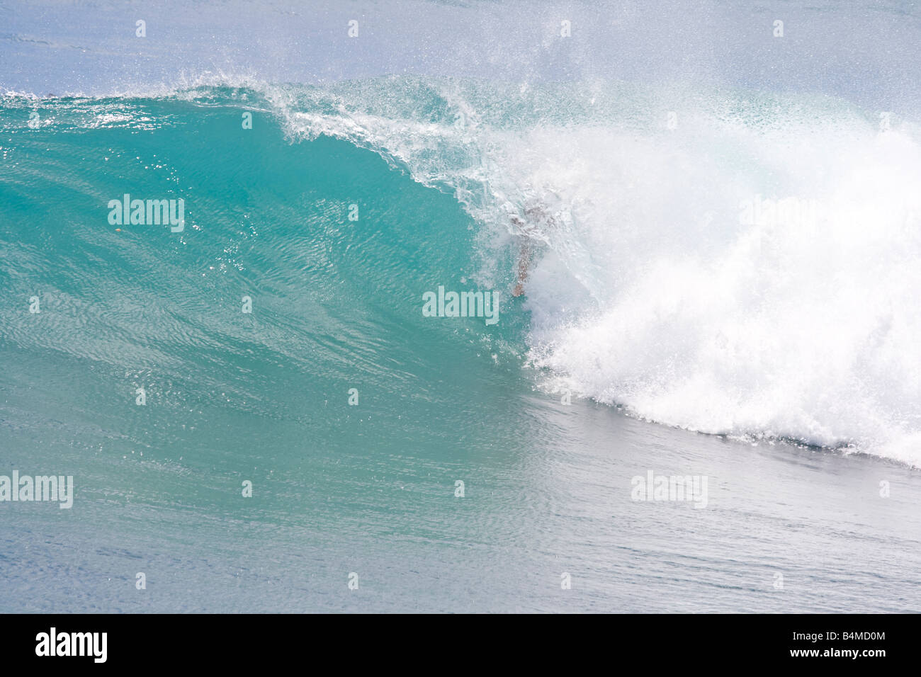 Bodysurfing Point Panic Honolulu Oahu Hawaii Stock Photo