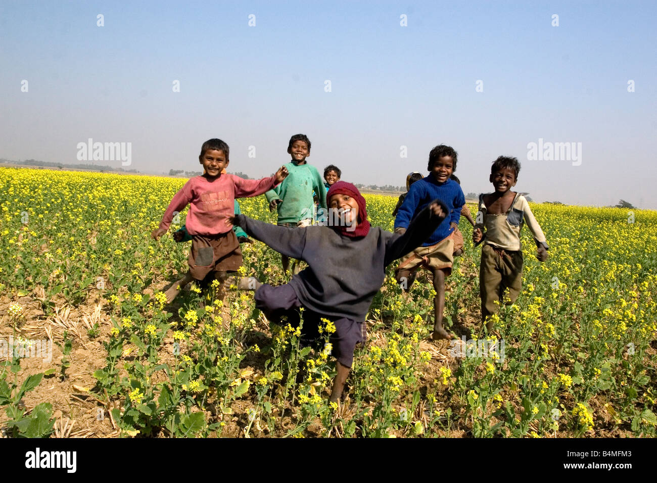 Tribal Village Boys Running And Playing In A Mustard Field At A Remote   Tribal Village Boys Running And Playing In A Mustard Field At A Remote B4MFM3 