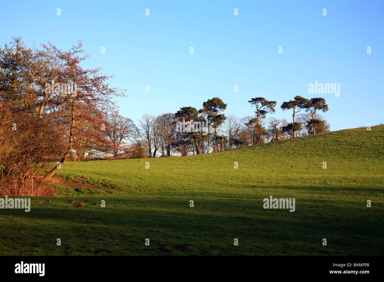 farmland with trees in the Kent countryside near Brabourne Lees
