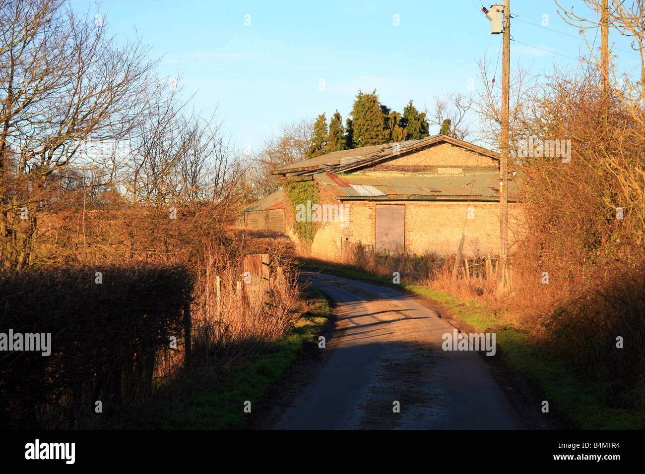 narrow country lane and farm buildings during winter at Quarrington