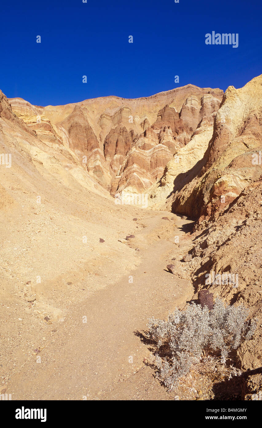 Morning light on eroded hills and ravine in Golden Canyon Death Valley ...