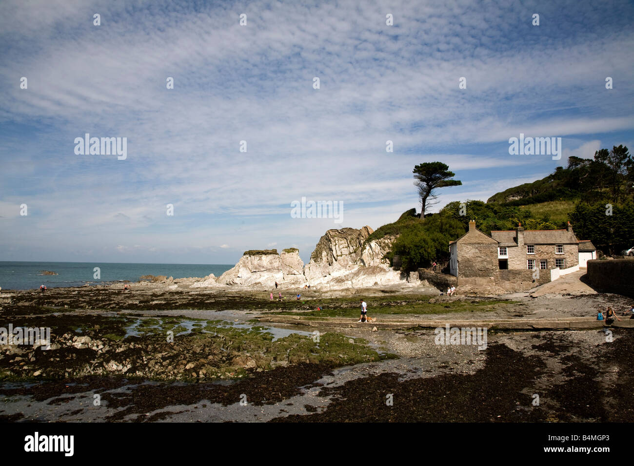 lee bay near devon Stock Photo Alamy