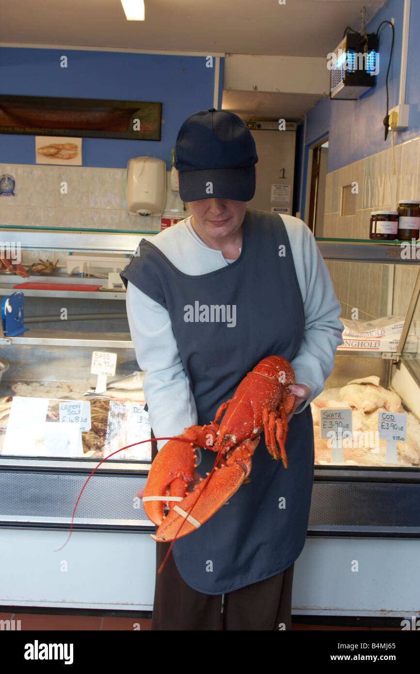 shop keeper holding lobster Stock Photo Alamy