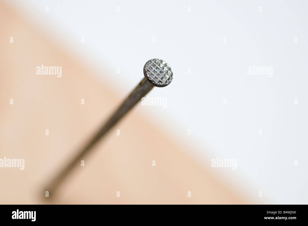 detail of a nail driven in Stock Photo