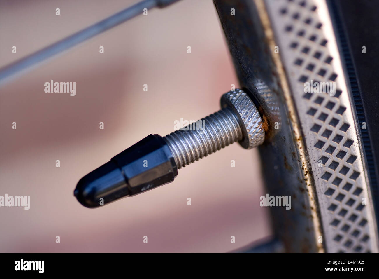 Bicycle wheel valve Stock Photo Alamy