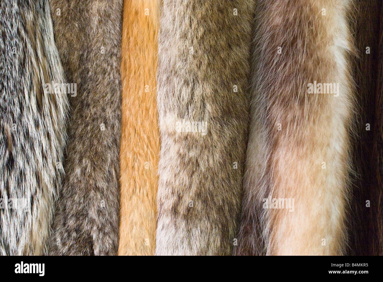 Fox Fur Pelts For Sale, Finnish Quality