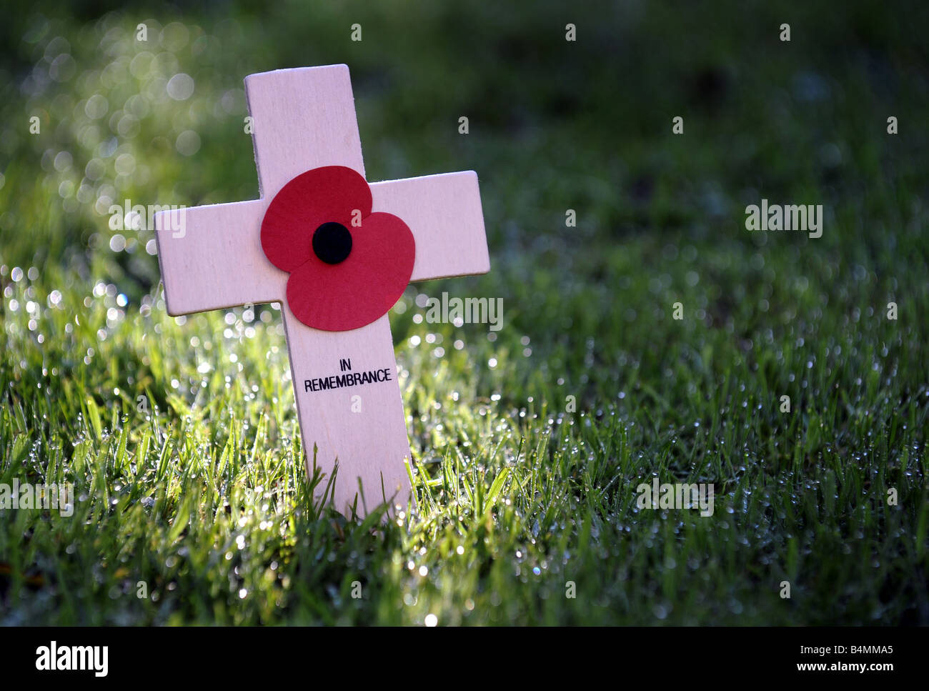 A BRITISH REMEMBRANCE POPPY ON CROSS IN FIELD OF GRASS. Stock Photo