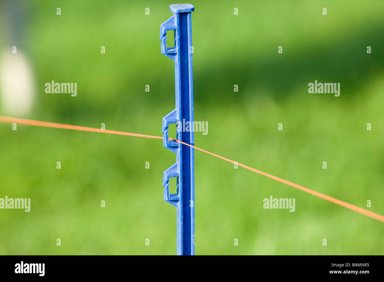 Electric fence post and wire Stock Photo Alamy