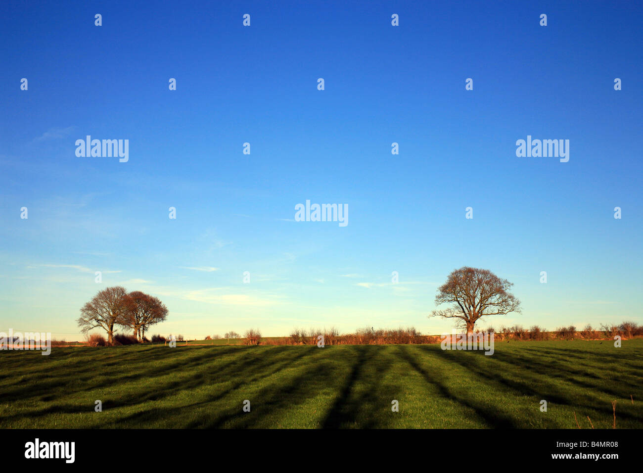 Trees kent countryside travel hi-res stock photography and images - Alamy
