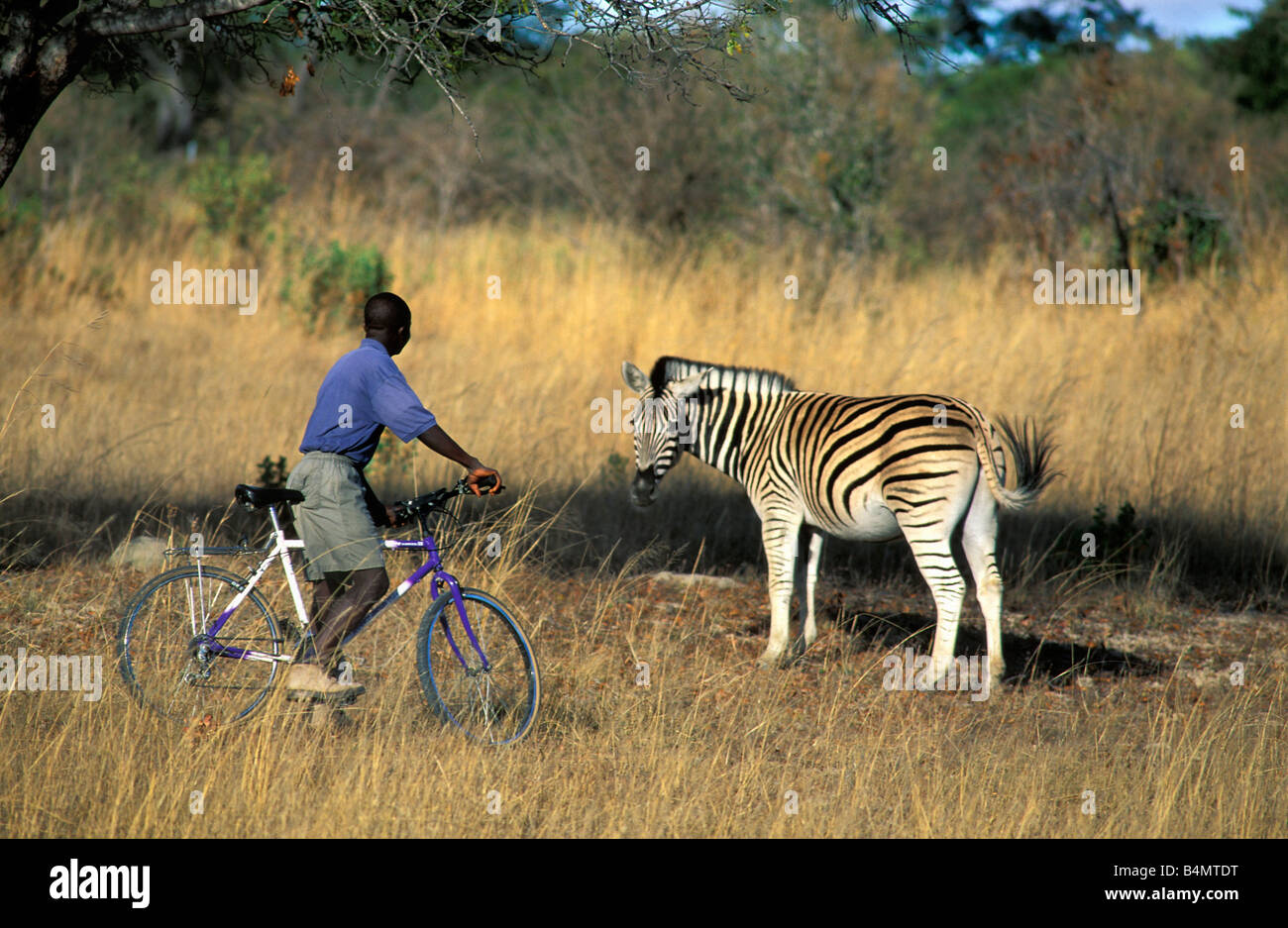 Nature meets man hi-res stock photography and images - Alamy