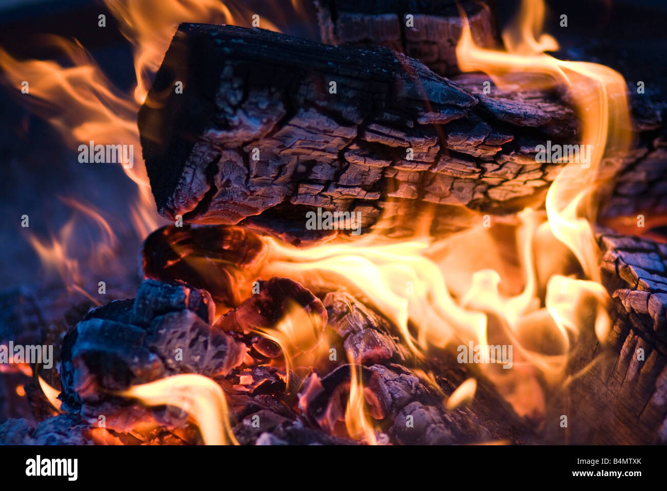 burning logs in a campfire Stock Photo