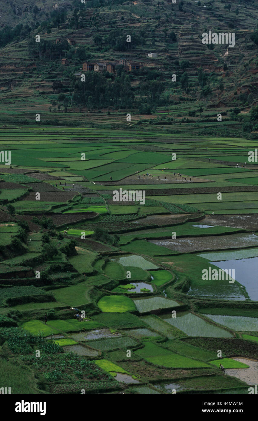 Fertile valley Stock Photo Alamy