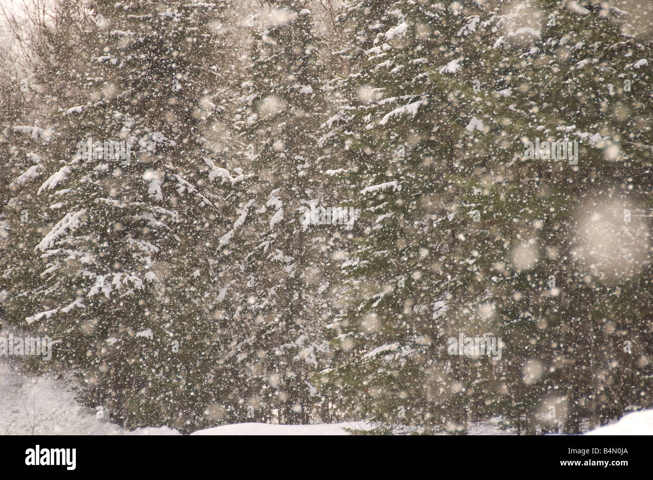 A Lake Superior lake effect snow storm on the Keweenaw Peninsula in Michigans Upper Peninsula