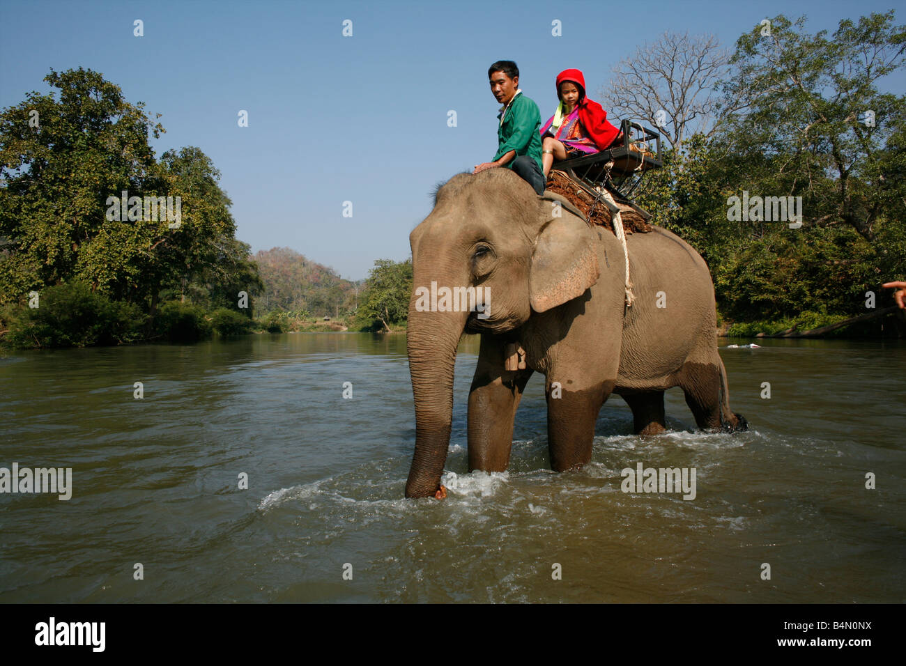 Members of the Longneck group cross a river by elephant Approximately 300 Burmese refugees in Thailand are members of the indigenous group known as the Longnecks The largest of the three villages where the Longnecks live is called Nai Soi located near Mae Hong Son City Longnecks wear metal rings on their necks which push the collarbone down and extend the neck They are a tourist attraction Tourists visit Nai Soi to take pictures of the Longnecks and buy their handicrafts The villages are criticized by human rights organizations as human zoos Stock Photo