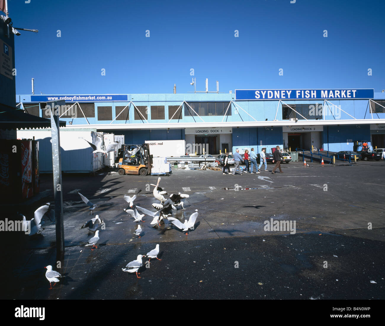 The Sydney Fish Market Pyrmont Stock Photo Alamy