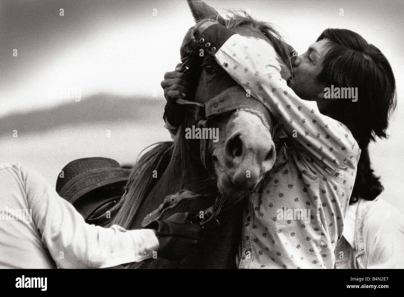 man biting horse ear to calm it down during a rodeo event called wild